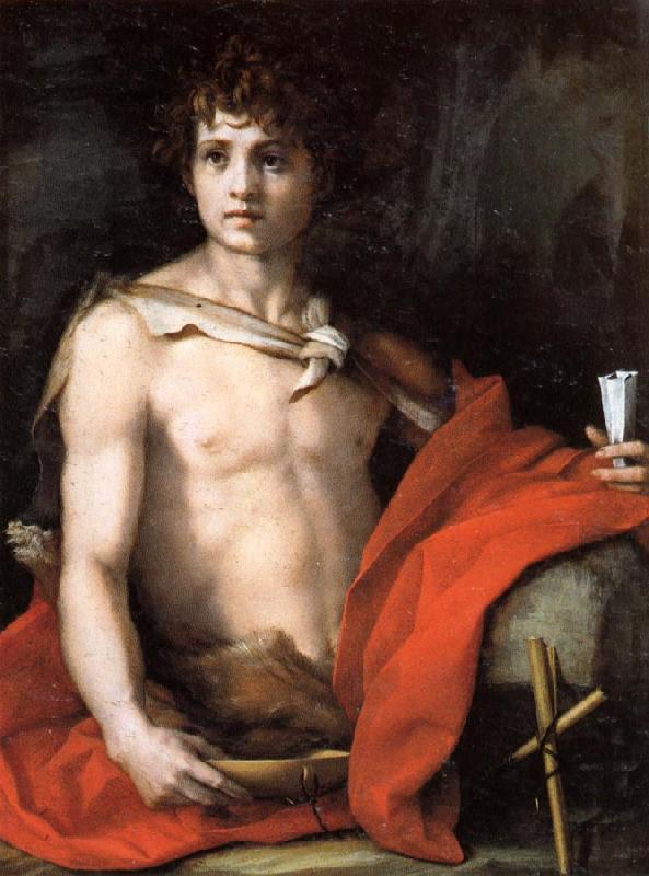 Andrea del Sarto The Young St.John